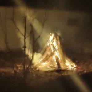 Meet your Posher, Caryn